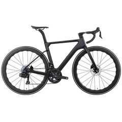 Vélo en fibre de carbone