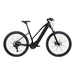 Vélo électrique-en fibre de carbone